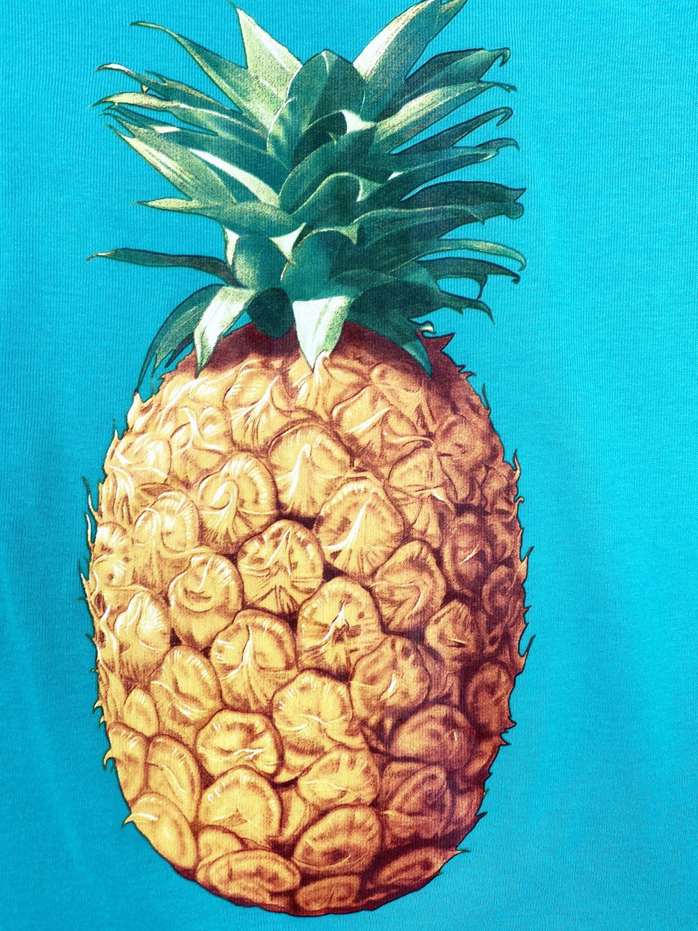 Chloe S/S 2013 re-edition pineapple print top — JAMES VELORIA